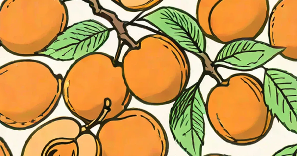 Apricots Health Benefits