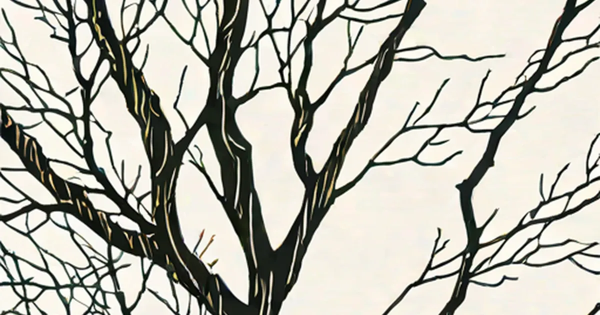 Branches of Philosophy