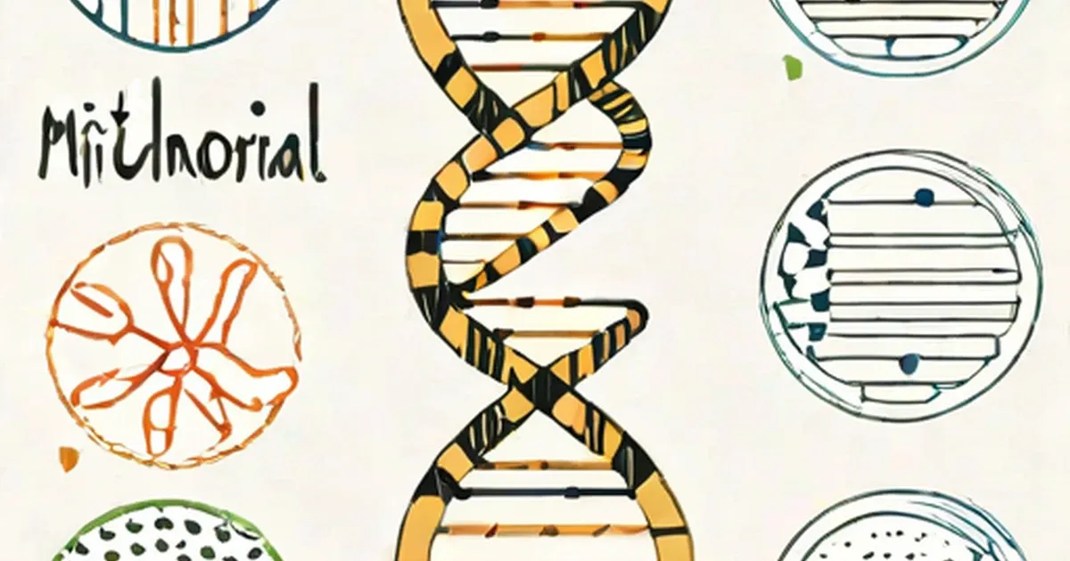 Functions of Mitochondrial DNA