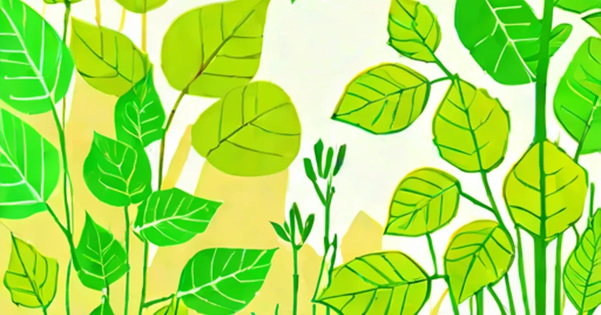 Photosynthesis for Kids
