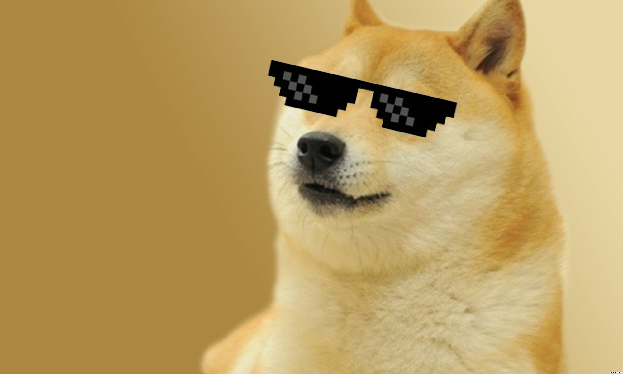 coinbase dogecoin wallet